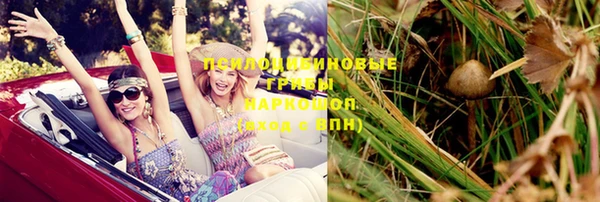 ПСИЛОЦИБИНОВЫЕ ГРИБЫ Слюдянка