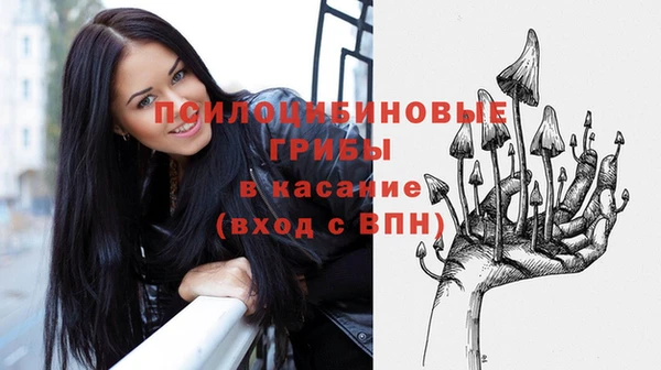 ПСИЛОЦИБИНОВЫЕ ГРИБЫ Слюдянка