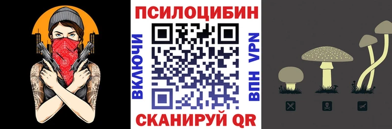 Псилоцибиновые грибы ЛСД  Купить  Черняховск 
