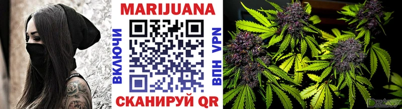 Купить  Черняховск  Канабис ГИДРОПОН 